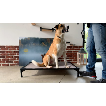 DOG BED MEDIUM 79 Cm X 54 Cm