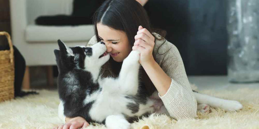 Gagner-la-confiance-de-votre-chien