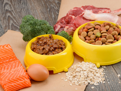 Cuisiner pour son animal domestique est à la fois simple, amusant et sain